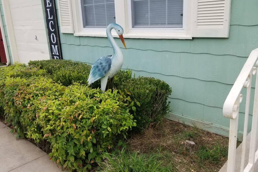 Blue Flamingo'S Charming Home-Heart Of Tulsa2- Cherry St-Expo-11Th エクステリア 写真